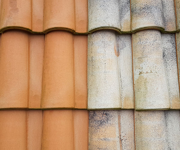 Entretien réparation de toiture la teste-de-buch